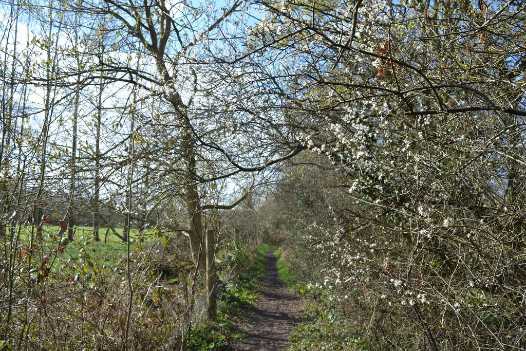 The Kingsley At Eversley エクステリア 写真