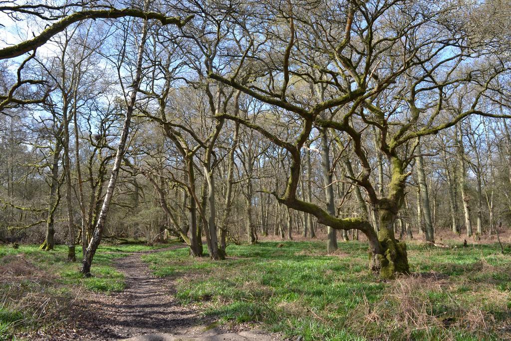 The Kingsley At Eversley エクステリア 写真