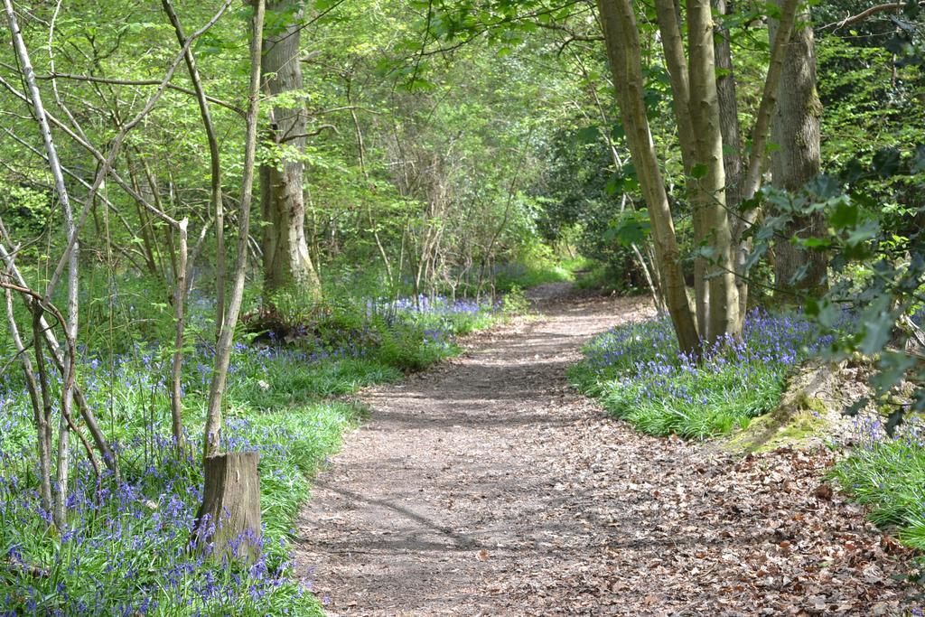 The Kingsley At Eversley エクステリア 写真